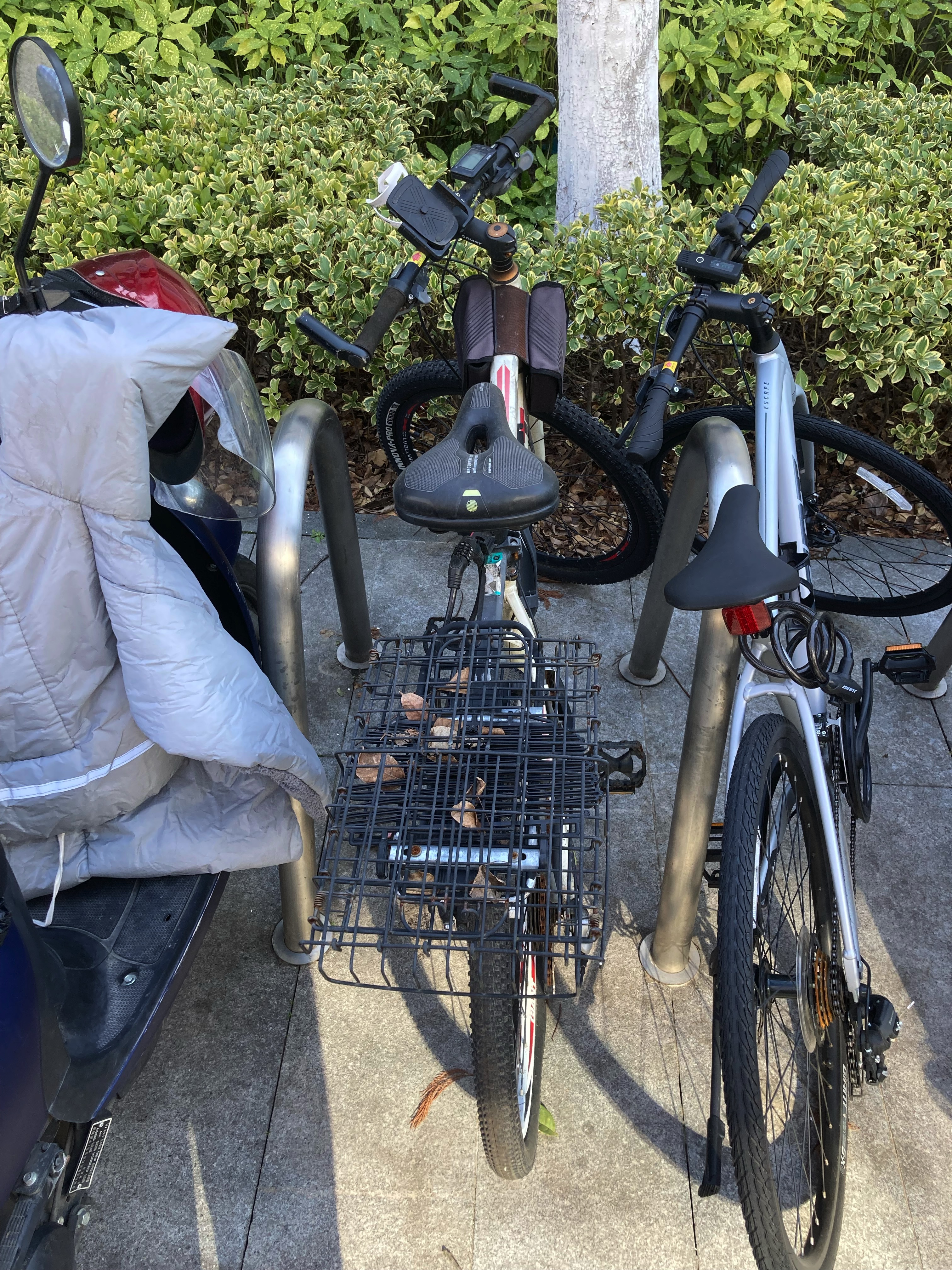 刚找回来的样子